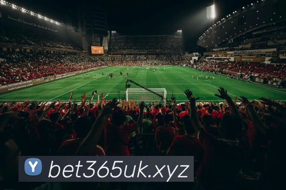 bet365官网服务体系